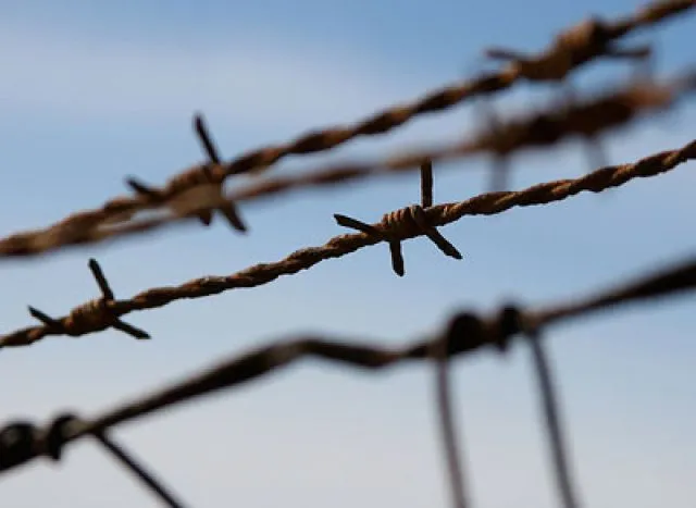 Barbed wire
