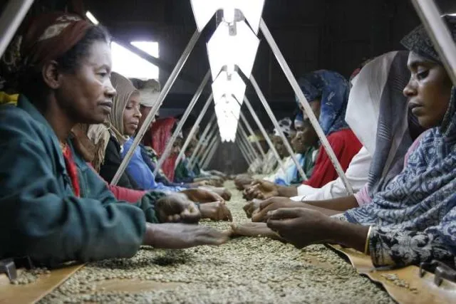 Ethiopia commodities market