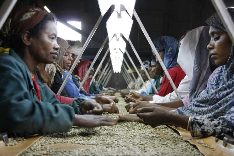 Ethiopia-commodities-market-story