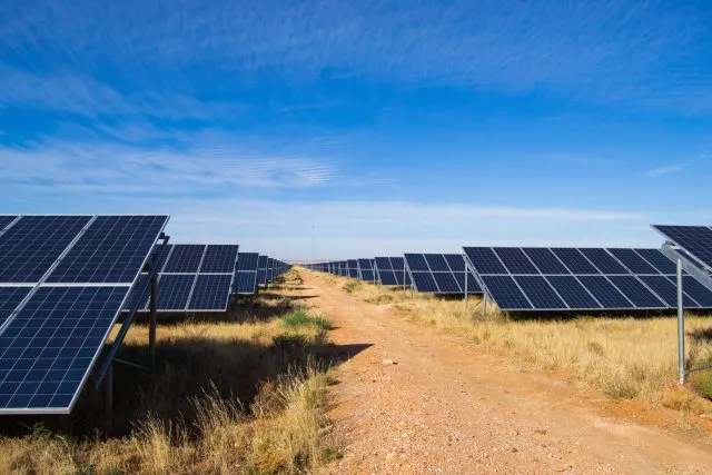 Solar panels in rows on grassland with a dirt track through the centre