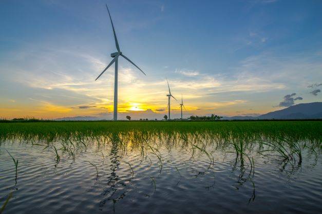Wind power in Vietnam resize2