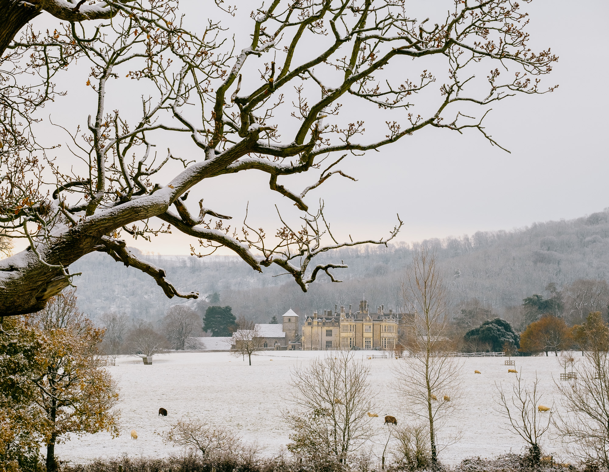 Wiston House in the snow