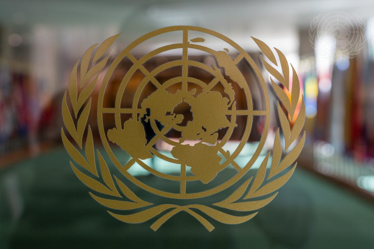 UN7911893 UN Emblem