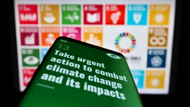 A phone screen is seen with a green background and text explaining the sustainable development goal for combatting climate change.