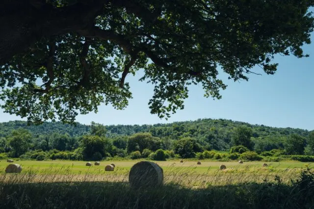 A view as you depart Wilton Park, showing open fields, hills and hay bales.